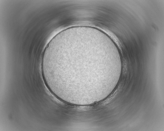 X0000115441390200912020936