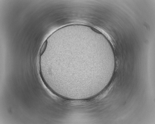 X0000115441391200912020936