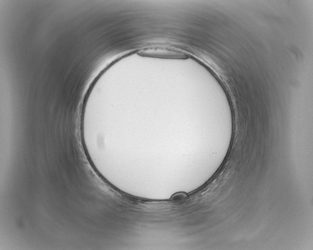 X0000115441392200912020936