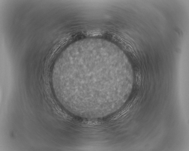 X0000115441393200912020935