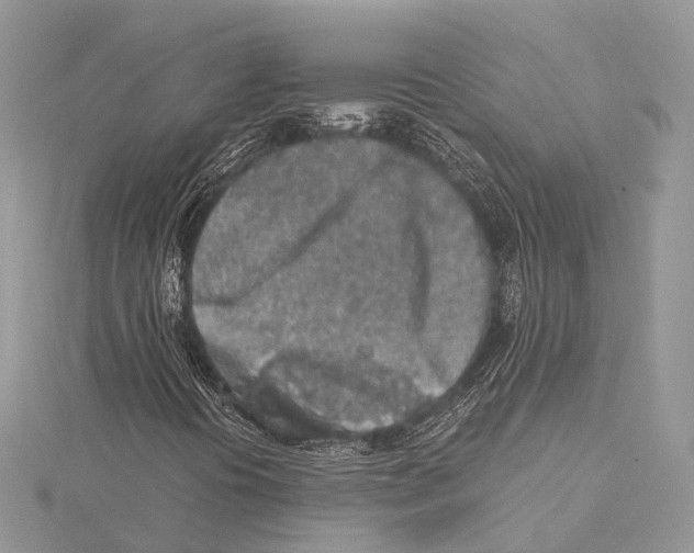 X0000115441394200912020935