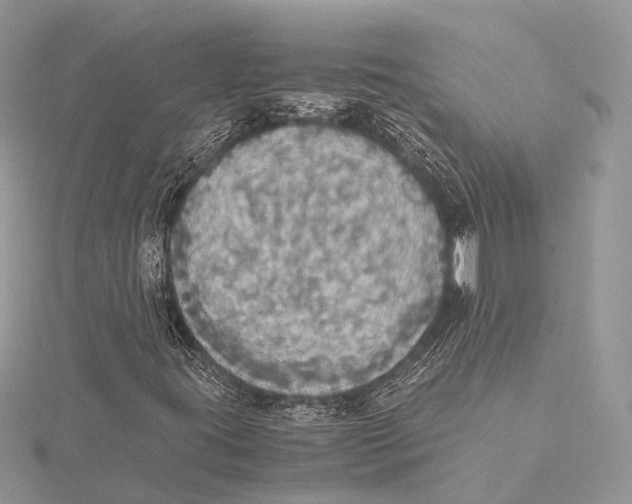 X0000115441395200912020935