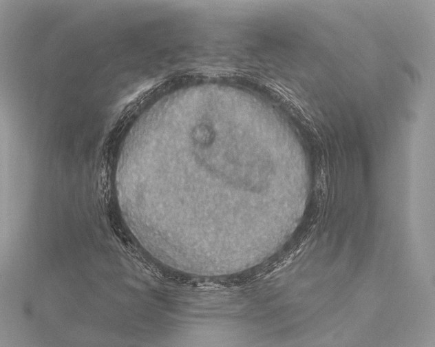 X0000115441398200912020935