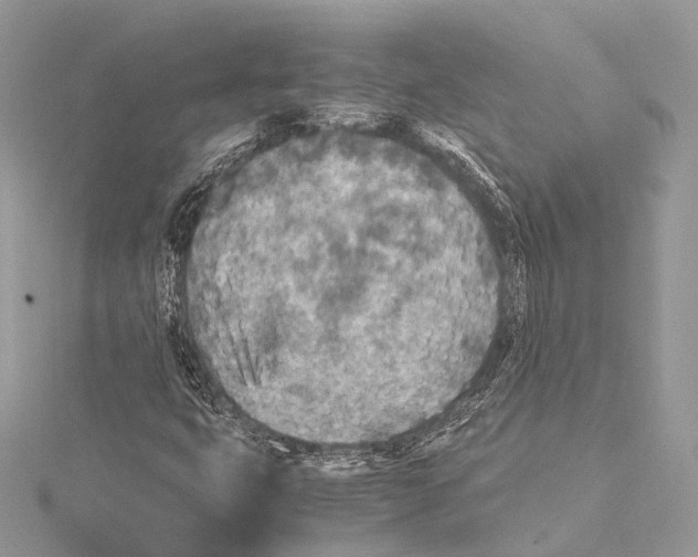 X0000115441399200912020935