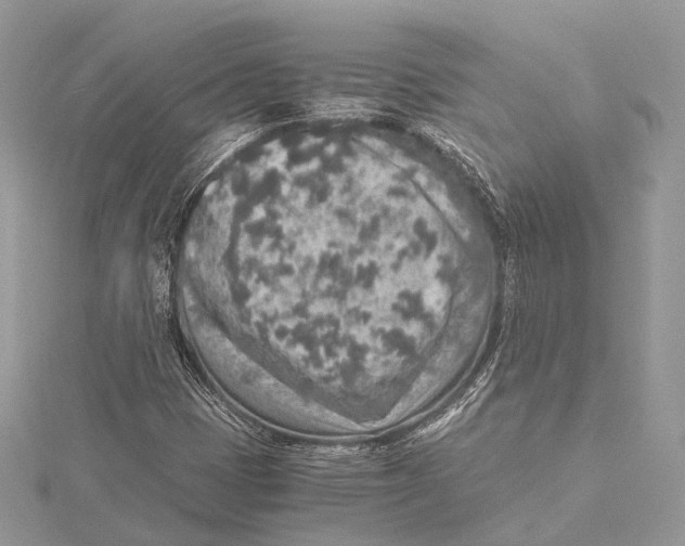 X0000115441401200912020935