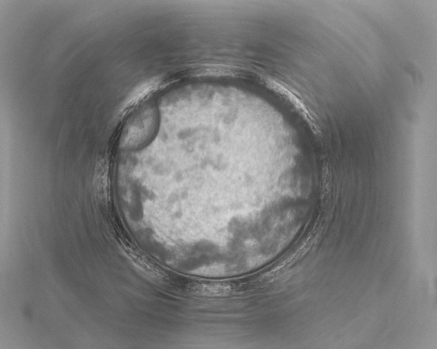 X0000115441403200912020935