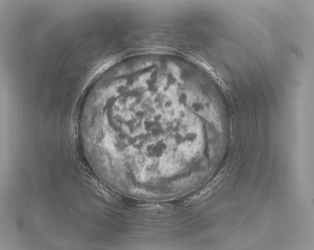 X0000115441405200912020935