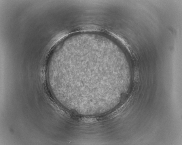 X0000115441407200912020935