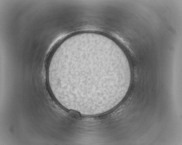 X0000115441408200912020935