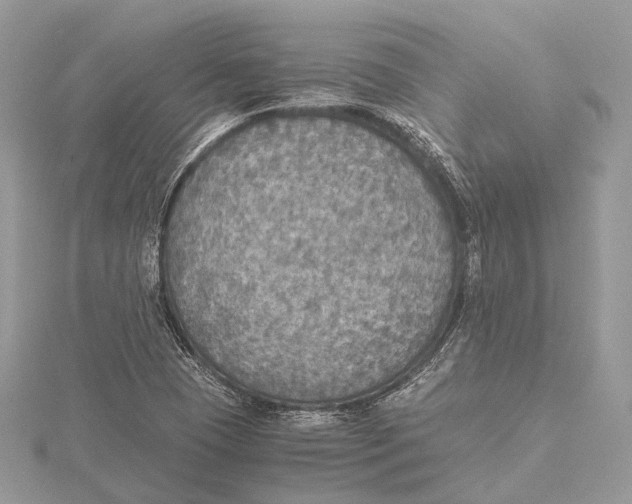 X0000115441409200912020935