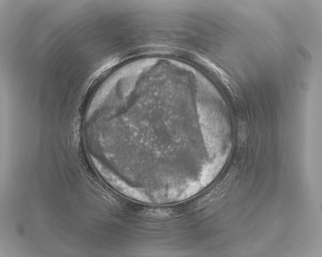 X0000115441411200912020935