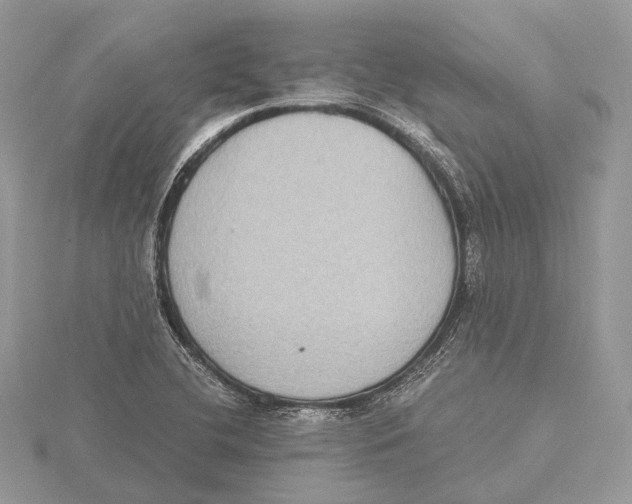 X0000115441412200912020935