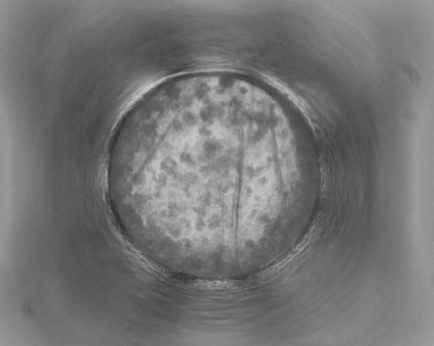 X0000115441415200912020935