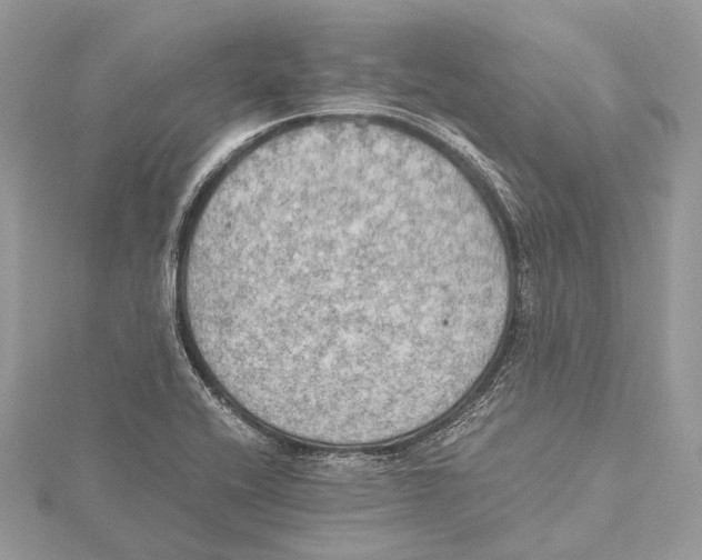 X0000115441416200912020935