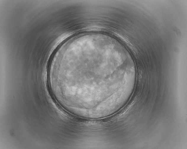 X0000115441418200912020935