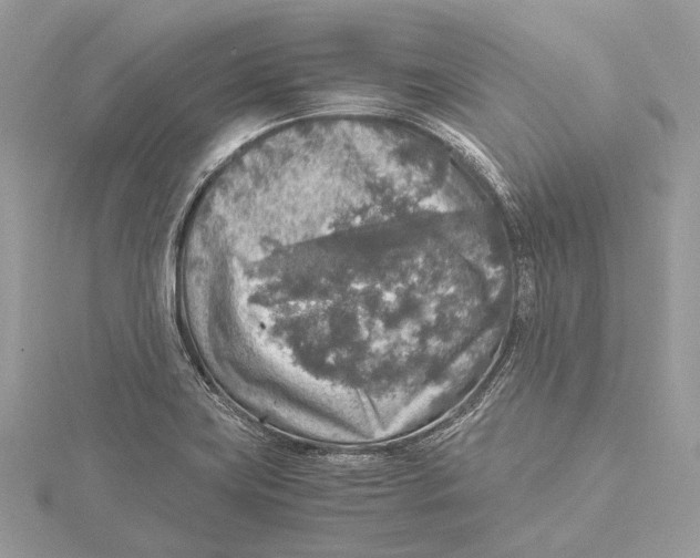 X0000115441419200912020935