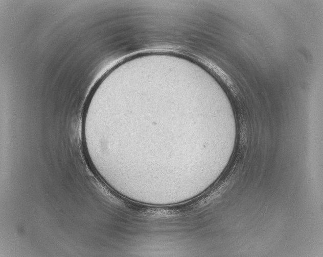 X0000115441420200912020935