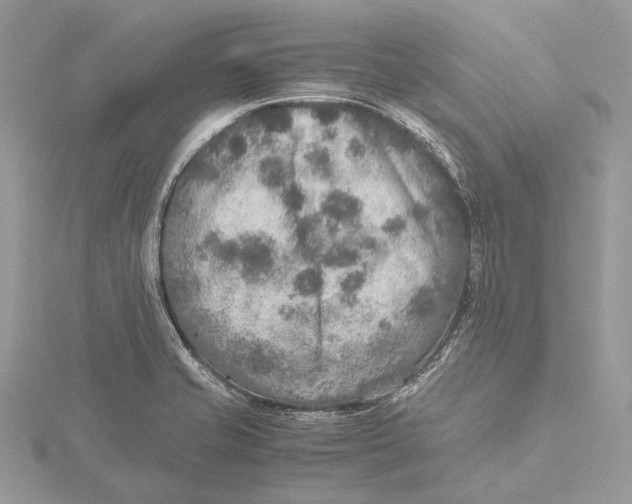 X0000115441421200912020935