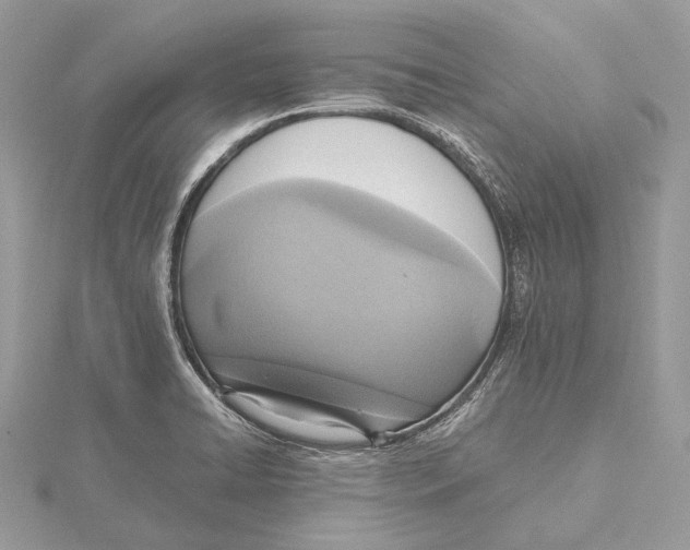 X0000115441422200912020935