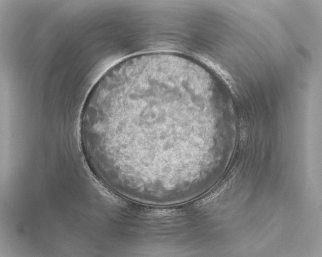 X0000115441423200912020935