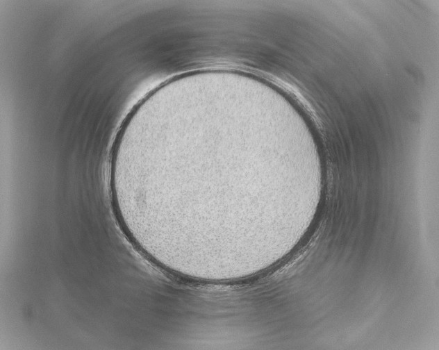 X0000115441424200912020935