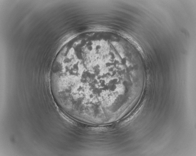 X0000115441425200912020935