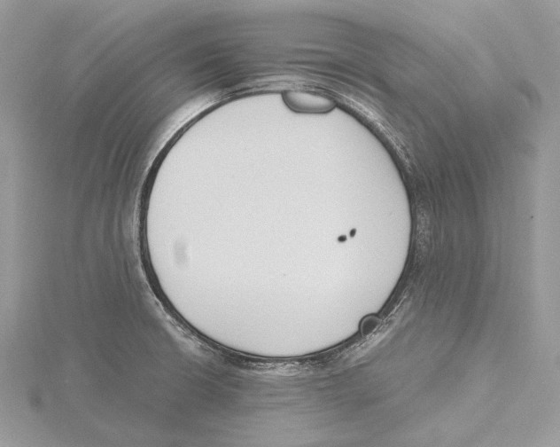 X0000115441426200912020936