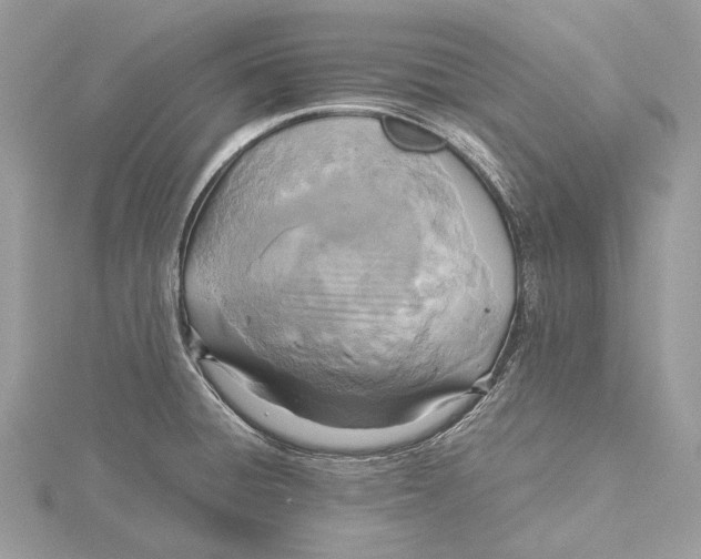 X0000115441428200912020936