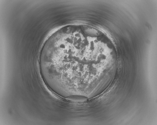 X0000115441429200912020936