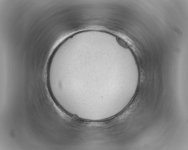 X0000115441430200912020936