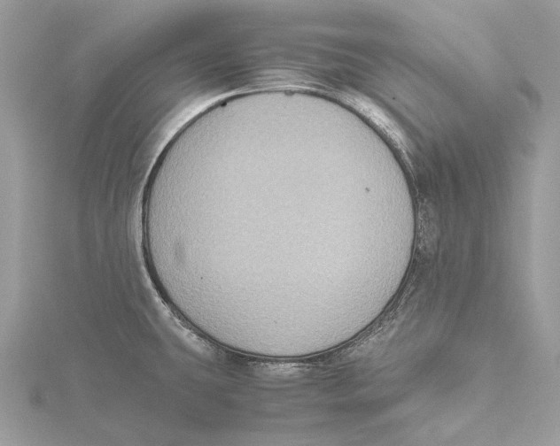 X0000115441431200912020936