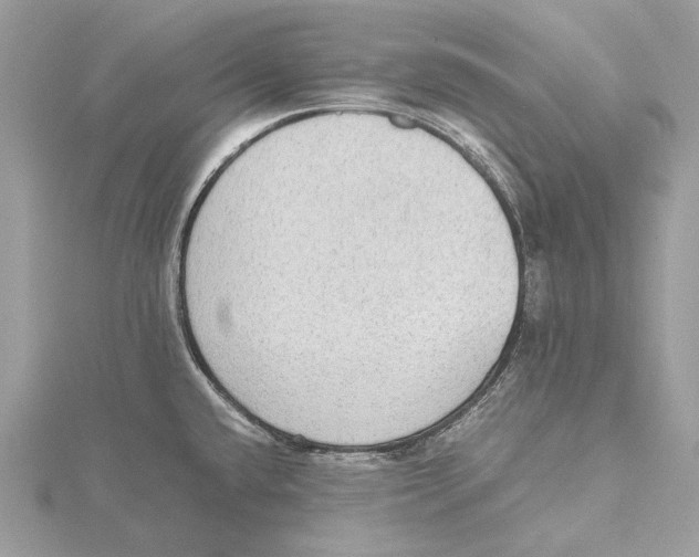 X0000115441432200912020936