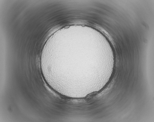 X0000115441433200912020936