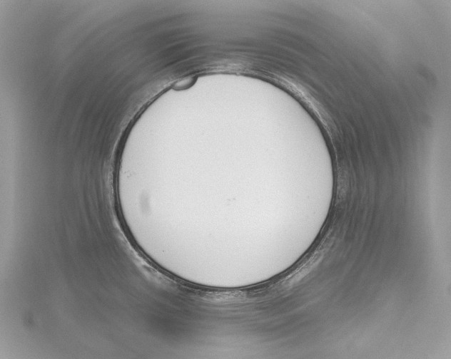 X0000115441434200912020936