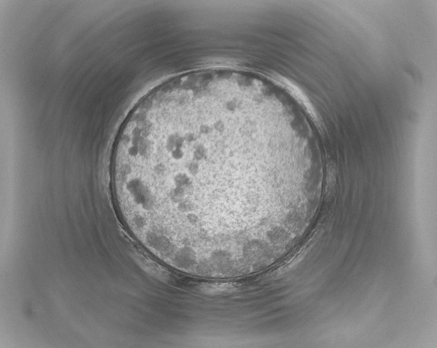 X0000115441435200912020936