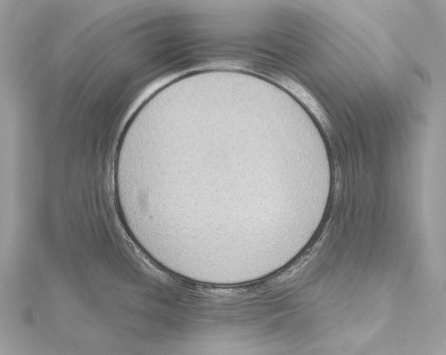 X0000115441436200912020936