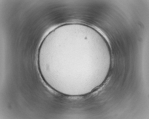 X0000115441437200912020936