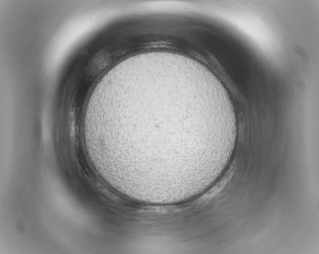 X0000115441438200912020936