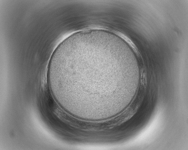 X0000115441439200912020936