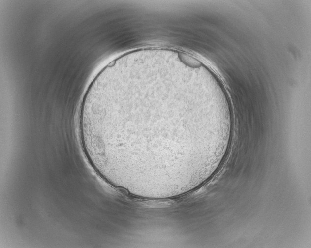 X0000115441440200912020936