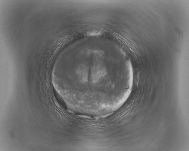 X0000115441441200912020935