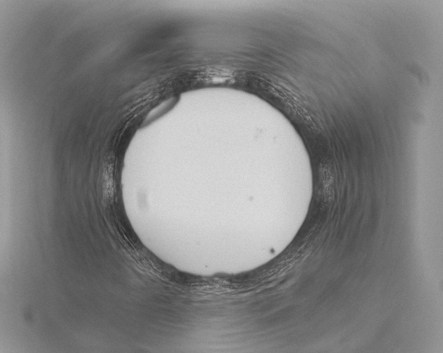 X0000115441442200912020935