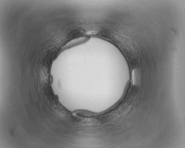 X0000115441443200912020935