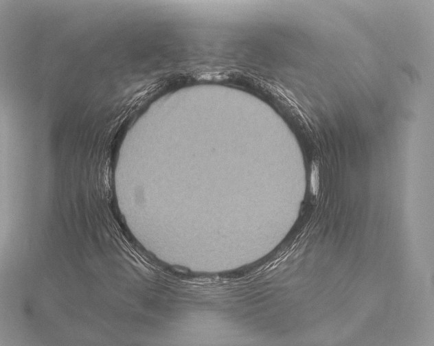 X0000115441444200912020935