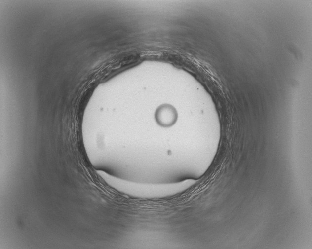 X0000115441445200912020935