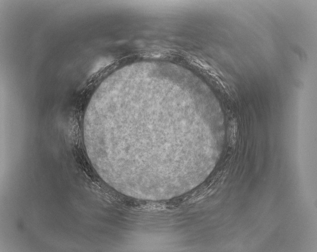 X0000115441446200912020935