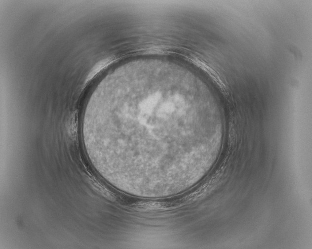 X0000115441450200912020935