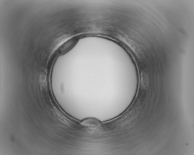 X0000115441452200912020935