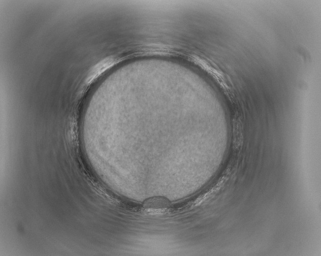 X0000115441453200912020935