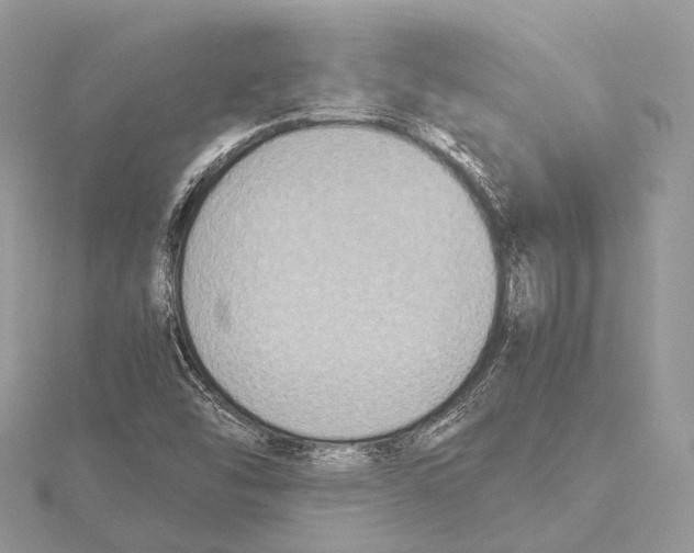 X0000115441454200912020935